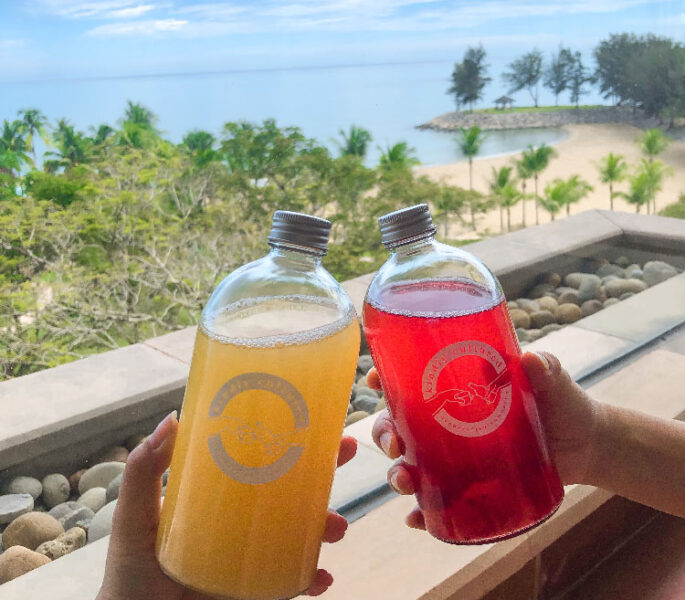 Kindly Cultured: Turning a love for kombucha into a business