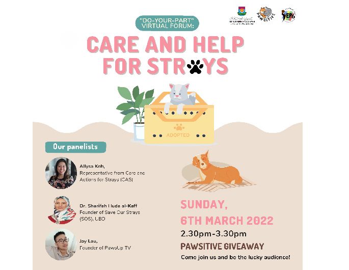 Virtual forum addressing issues on stray animals this Sunday