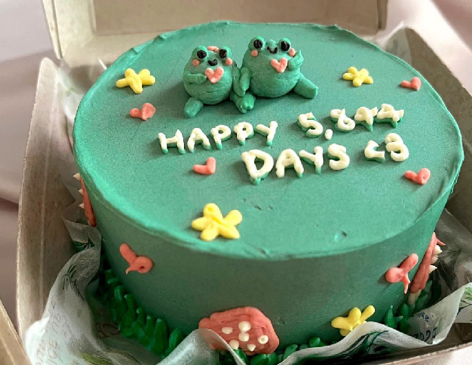 Sweet Escapes: Finding sweet success with Bento cakes