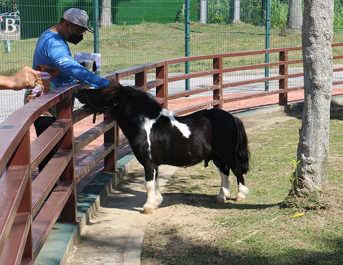 Jerudong Park opens Little Kingdom Petting Zoo