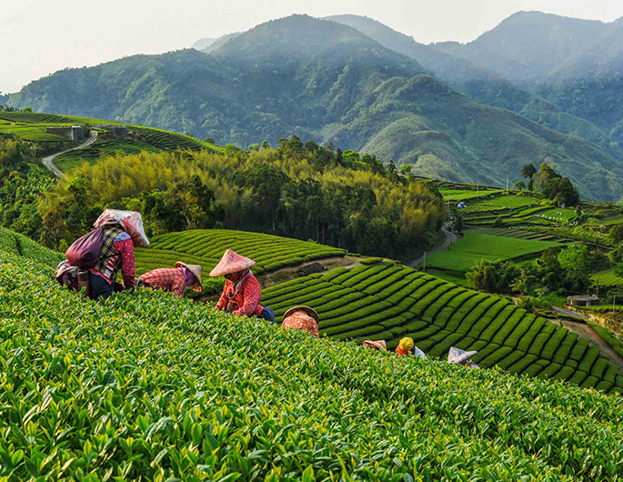 Taiwan looks to boost agricultural trade with Brunei