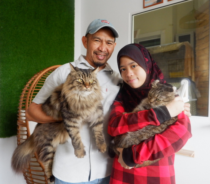 Uncle Cat Cafe: Creating a cosy space for cats and chats