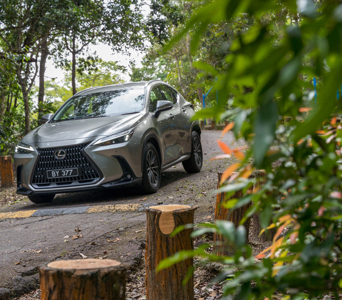 Lexus NX 250: Sturdy, reliable companion for a comfortable drive