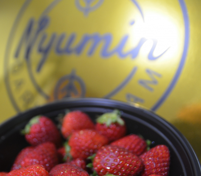 Nyumin: Preserving food with freeze-drying for longer storage and reducing waste