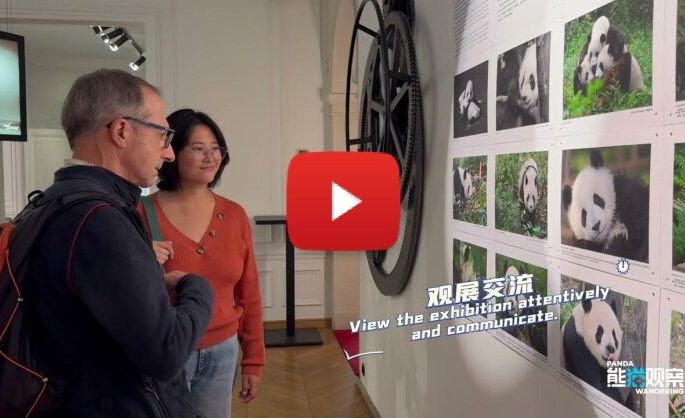 “Panda’s World” Photography Exhibition of Giant Pandas Grandly Opens in Paris, France