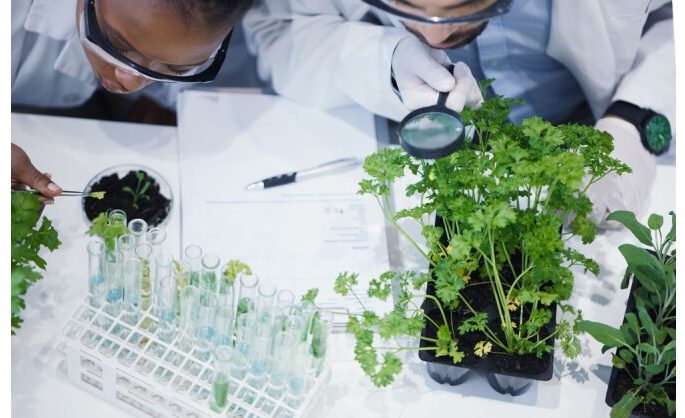 Syngenta Group is Science Magazine’s top agriculture employer for 8th year