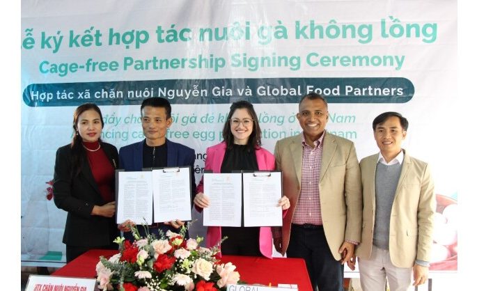 Global Food Partners’ Impact Incentives Program Drives Vietnam’s Largest Transition to Cage-free Egg Production