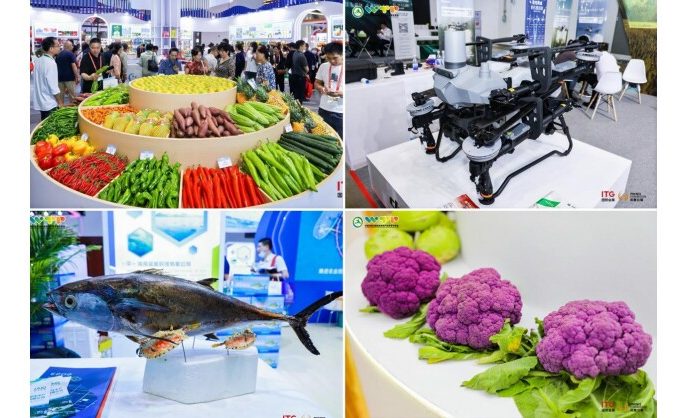 Over 2,000 Enterprises Worldwide Join China (Hainan) International Trade Fair for Tropical Agricultural Products