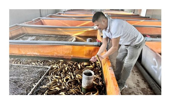 Vietnam agricultural products’ quality to meet Chinese high standards