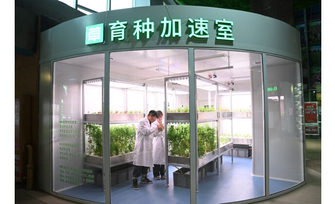 China Focus: Technology sows seeds of hope in combating desertification