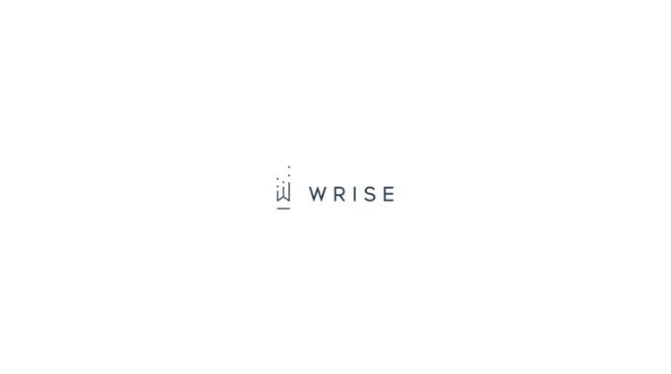 WRISE Group Appoints Chen Jingwei as Regional Chief Investment Officer