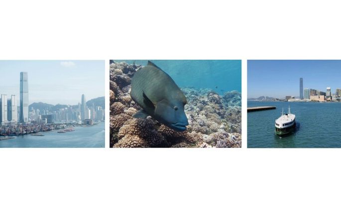 Hong Kong at Maritime Crossroads: New Studies Reveal Unprecedented Opportunity for Kickstarting the Blue Economy