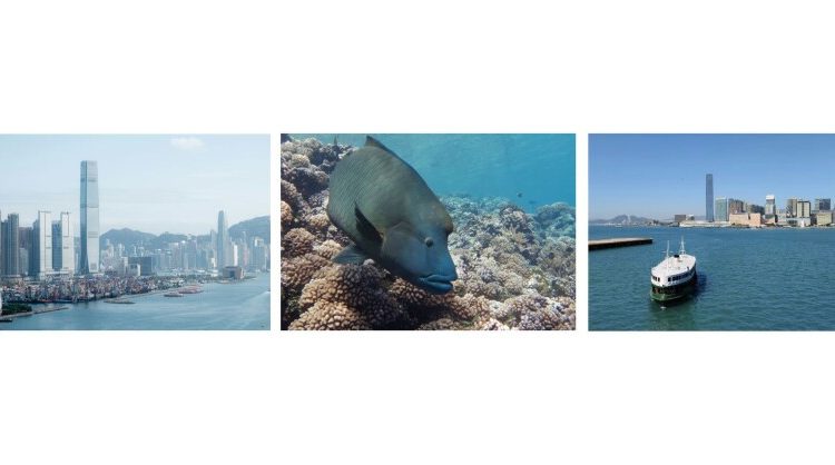 hong-kong-at-maritime-crossroads:-new-studies-reveal-unprecedented-opportunity-for-kickstarting-the-blue-economy