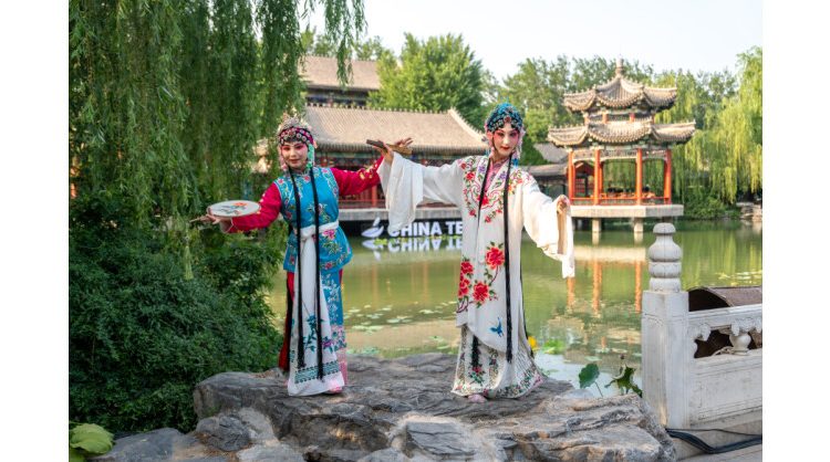 sipping-tea-while-enjoying-opera:-the-2025-beijing-chaoyang-international-tea-culture-week-showcases-cultural-charm
