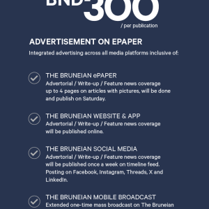 Advertisement Package