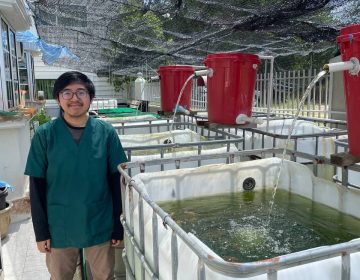 Fatih Aquaculture: Building a sustainable aquafarming business for Brunei’s future