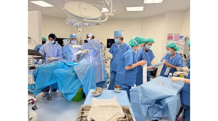 Thomson Fertility Embarks on In-Vitro Activation (IVA): New Hope for Women with Primary Ovarian Insufficiency or Diminished Ovarian Reserves