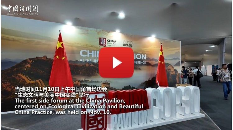 china-highlights-green-achievements-at-cop30-side-session
