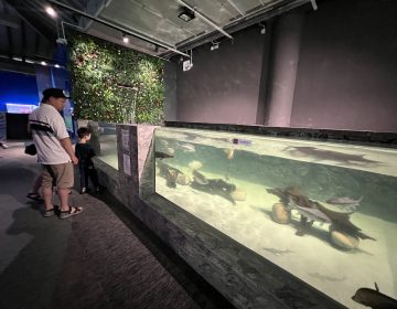 Seria Energy Lab reopens with STEAM focus