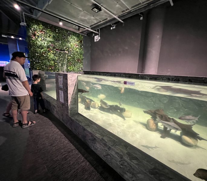 Seria Energy Lab reopens with STEAM focus