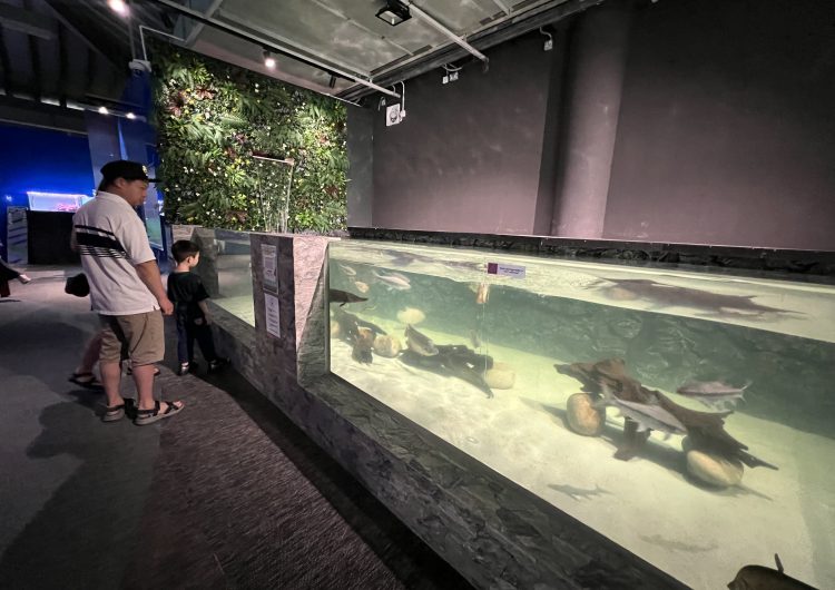 Seria Energy Lab reopens with STEAM focus