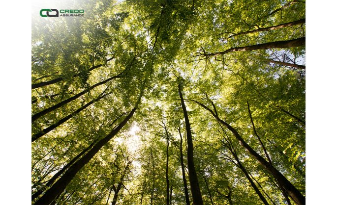 Credo Assurance Earns ESG Certification to Support Sustainability Reporting