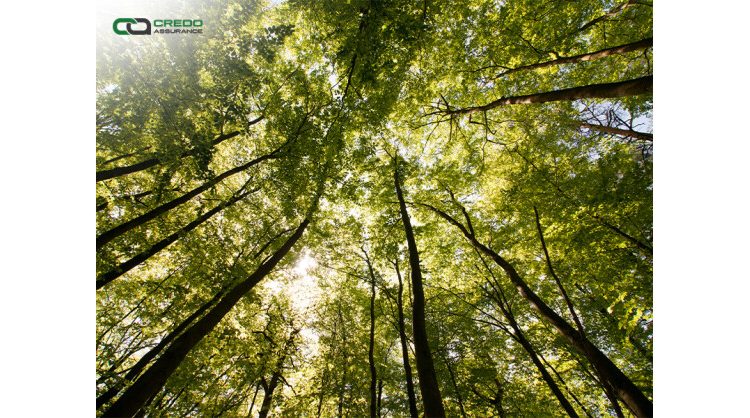 credo-assurance-earns-esg-certification-to-support-sustainability-reporting