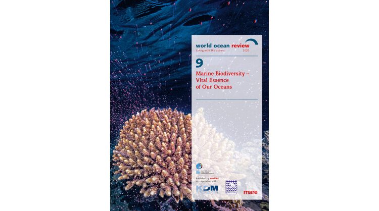 the-new-world-ocean-review:-explaining-life-in-the-ocean