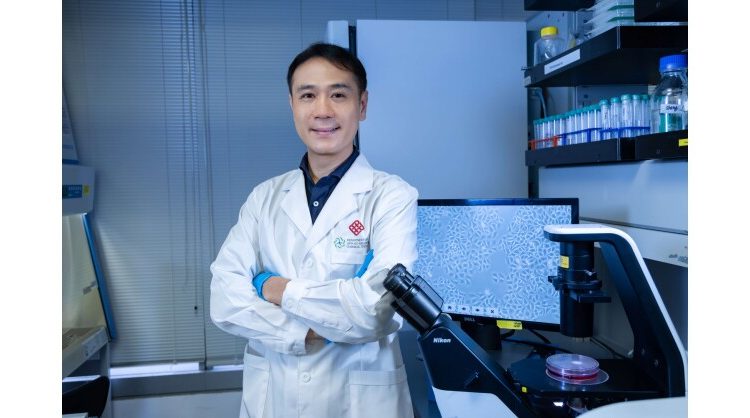 polyu-develops-novel-antibody-targeting-fat-cell-protein,-offering-new-approach-to-treating-metabolism-related-liver-cancer