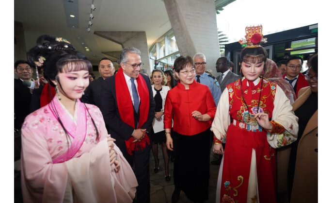 An Encounter with China: Chinese New Year in Paris: Nanjing Intangible Cultural Heritage Shines