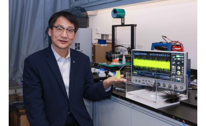 PolyU research unveils mechanoelectrical perception in sea urchin spines, empowering next-generation biomimetic sensors