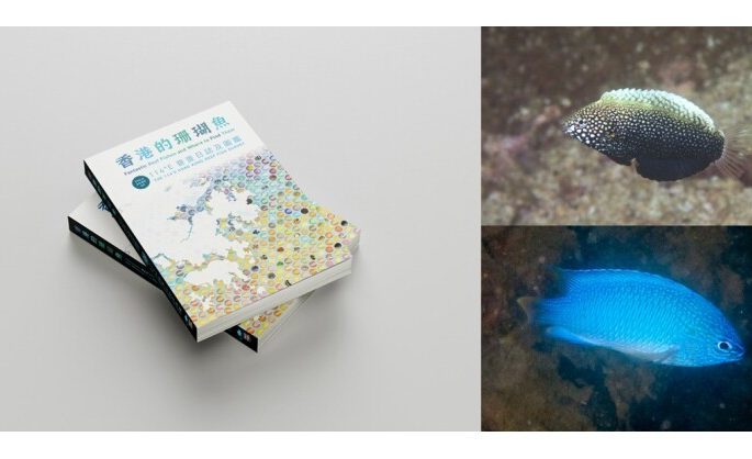 Fantastic Reef Fishes and Where to Find Them:  A New Field Guide Celebrates and Documents Hong Kong’s Reef Fish Diversity with 422 Species