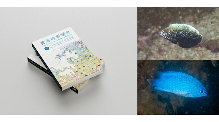 fantastic-reef-fishes-and-where-to-find-them:-a-new-field-guide-celebrates-and-documents-hong-kong’s-reef-fish-diversity-with-422-species