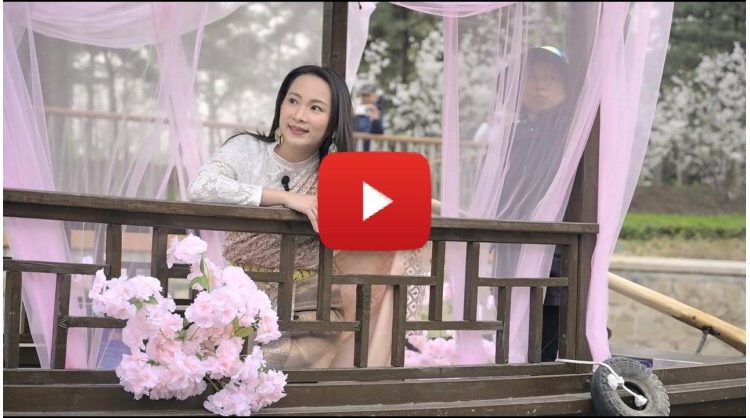 enchanting-journey-through-beijing’s-chaoyang-garden-festival,-where-nature-meets-oriental-romance