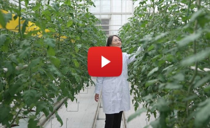Tracking the unseen: How Chinese agricultural experts tackle invisible pollution in Yangtze River protection