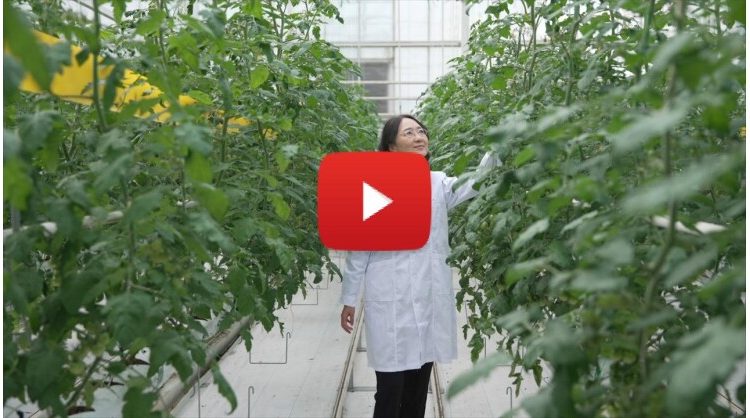 tracking-the-unseen:-how-chinese-agricultural-experts-tackle-invisible-pollution-in-yangtze-river-protection