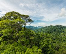 Brunei ratifies agreement to establish ASEAN Centre for Climate Change