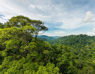 Brunei ratifies agreement to establish ASEAN Centre for Climate Change