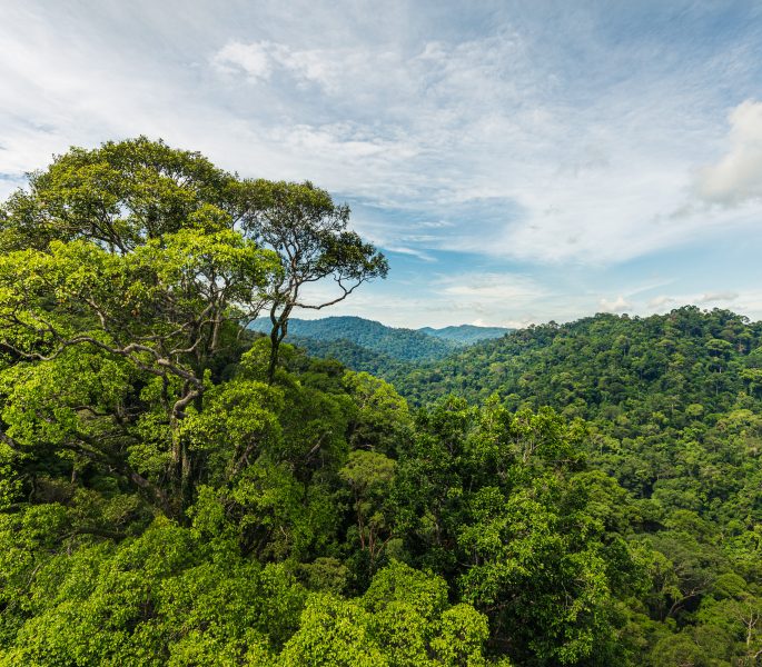 Brunei ratifies agreement to establish ASEAN Centre for Climate Change